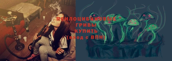 ешки Алексеевка