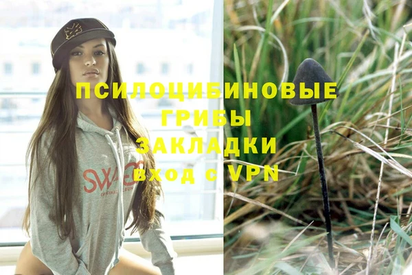 ALPHA PVP Алзамай